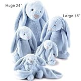 Knowing God: Walking through the Book of Books