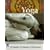 Yoga for Common Ailments (Common Ailments Series)