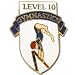 Sporting Goods : Women's Level 10 Gymnastics Pin.