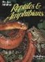 Florida's Fabulous Reptiles and Amphibians: Snakes, Lizards, Alligators, Frogs, and Turtles