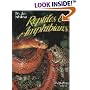 Florida's Fabulous Reptiles and Amphibians