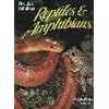 Florida's Fabulous Reptiles and Amphibians: Snakes, Lizards, Alligators, Frogs, and Turtles