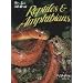 Florida's Fabulous Reptiles and Amphibians: Snakes, Lizards, Alligators, Frogs, and Turtles