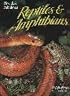 Florida's Fabulous Reptiles and Amphibians