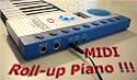 Elegance Portable 49 Keys Roll-up Digital Piano with MIDI In/ Out