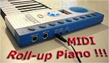 Musical Instruments : Elegance Portable 49 Keys Roll-up Digital Piano with MIDI In/ Out