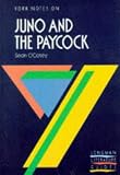 York Notes on Sean O Casey s Juno and the Paycock