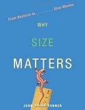 Why Size Matters: From Bacteria to Blue Whales