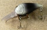 JLVLures Polliwog Deep Crankbait Confusion (GLOWS) : Diver Lures JLV Freshwater Smallmouth Steelhead Pike Salmon Trout