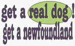 get a real dog! Get a newfoundland Apron