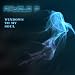 Windows To My Soul (Main Mix)