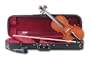 Hans Kroger Caprice Viola, 14