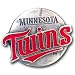 Team Logo MLB Pin - MInnesota Twins