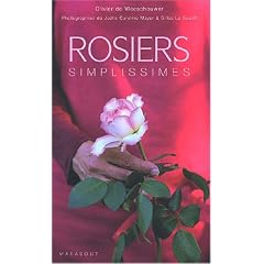 Rosiers faciles
