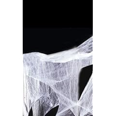 Hilka 25035800 - Spinnennetz mit Spinne