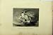 C1850 Steel Engraving Flight Venus Ascanius Angels Sky