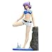�f�b�h �I�A �A���C�u �G�N�X�g���[��2 DOAX2 Venus on the beach !�V���[�Y ����� (1/6�X�P�[��PVC�h���ς݊����i�j