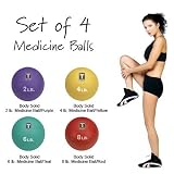 Body Solid Set of 4 Medicine Balls (2, 4, 6 & 8 lb. Balls) BSTMB/SET 2-8