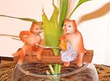 Glass Fish Bowl W Cristal Soil for Lucky Bamboo