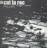 FALLEN 12 INCH (12" SINGLE) UK SKINT 2001