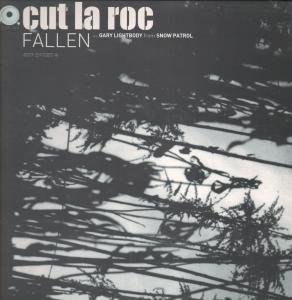 Produkt-Bild: FALLEN 12 INCH (12" SINGLE) UK SKINT 2001 (Katalog-Nummer:SKINT63)