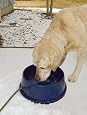 K&H 96-Ounce Thermal-Bowl Outdoor Pet Feeder, Blue