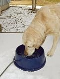 K&H 96-Ounce Thermal-Bowl Outdoor Pet Feeder, Blue