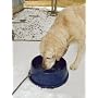 K&H 96-Ounce Thermal-Bowl Outdoor Pet Feeder, Blue