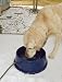 K&H 96-Ounce Thermal-Bowl Outdoor Pet Feeder, Blue
