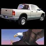 Glasscapes American Bald Eagle Rear Window Graphic Kit - 65in x 23in