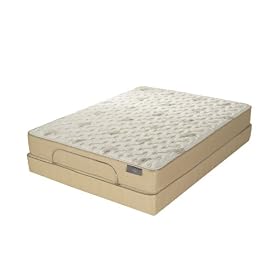 Adjustables Pro-Motion Queen Adjustable Base with Plush Mattress
