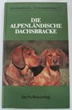 Die alpenländische Dachsbracke