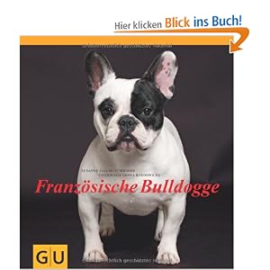 Franz&ouml;sische Bulldogge
