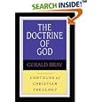 The Doctrine of God (Contours of Christian Theology) by Gerald Lewis Bray