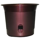 Apollo Plastics E008-CABERNET 8-Inch Self Watering Planter