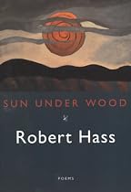 Sun Under Wood
