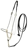 Royal King Gold/Silver Beaded Nose Arabian Show Halter