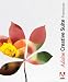 Adobe Creative Suite Premium Edition - Product upgrade package - 1 user - upgrade from Adobe Photoshop - CD - Mac - English