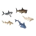 Sea Life and Shark Collection