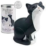 My Pedigree Pals Figurine in Money Box Tin - Black & White Cat