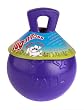 Jolly Pet 8-Inch Tug-n-Toss, Purple