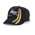 C-17 Sky Ribbon Hat