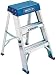 Werner 150B 300-Pound Duty Rating Aluminum Step Stool, 2-Foot