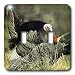 Birds - Wild Turkey Gobbler - Light Switch Covers - double toggle switch