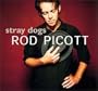 Stray Dogs