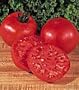 Big Boy Tomato 4 Plants - Heavy yields