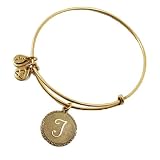 (アレックスアンドアニ )ALEX AND ANI イニシャルプレート 【T】 リサイクル真鍮ワイヤー バングル ALEX