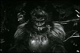 Top Horror Movies: Bride of the Gorilla DVD (1951) Starring Barbara Payton, Lon Chaney Jr., Raymond Burr, Tom Conway, Paul Cavanagh, Gisela Werbisek, Carol Varga, Paul Maxey, Woody Strode, Martin Garralaga, Felippa Rock, and Moyna MacGill. Top Horror Movies: Bride of the Gorilla DVD (1951) Starring Barbara Payton, Lon Chaney Jr., Raymond Burr, Tom Conway, Paul Cavanagh, Gisela Werbisek, Carol Varga, Paul Maxey, Woody Strode, Martin Garralaga, Felippa Rock, and Moyna MacGill.