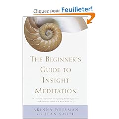The Beginner's Guide to Insight Meditation