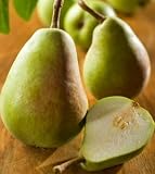 Organic Green Anjou Pear Gift Box